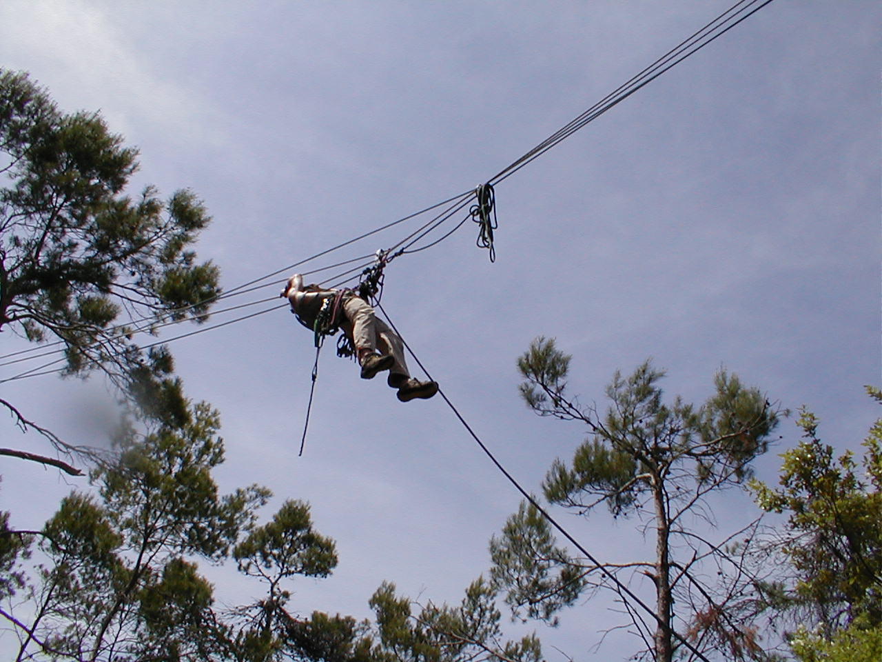 2.8 Abattage d'abre dangereux Manosque